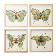 Load image into Gallery viewer, Two's Company Papillon Set of 4 Butterfly Paper Collage Wall Art