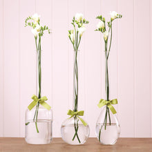 Load image into Gallery viewer, Two's Company Sleek And Chic Vase Trio With Sage Green Ribbon