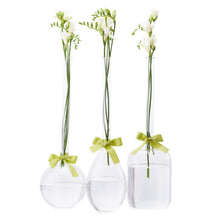 Load image into Gallery viewer, Two's Company Sleek And Chic Vase Trio With Sage Green Ribbon