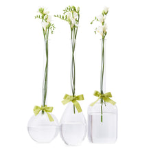 Load image into Gallery viewer, Two&#39;s Company Sleek And Chic Vase Trio with Knotted Rope Tie
