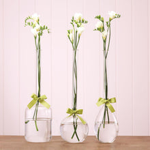 Load image into Gallery viewer, Two&#39;s Company Sleek And Chic Vase Trio With Sage Green Ribbon
