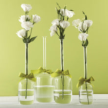 Load image into Gallery viewer, Two&#39;s Company Sleek and Chic 4-Piece Set Jug Vases With Sage Green Ribbon
