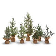 Load image into Gallery viewer, Two&#39;s Company Frosted Evergreens 7 Pc Holiday Trees in Jute Wrapped Base Units
