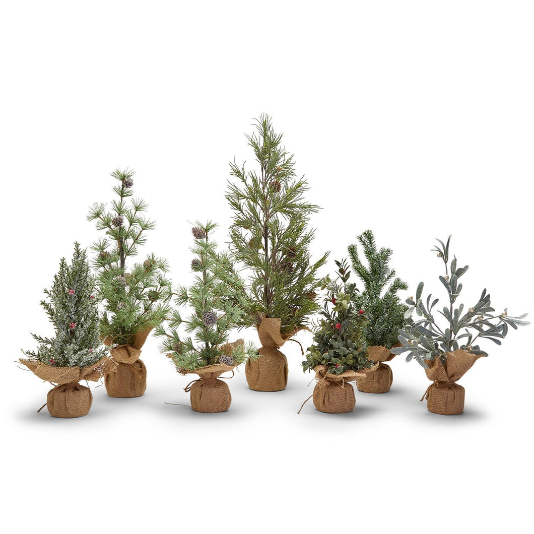 Two's Company Frosted Evergreens 7 Pc Holiday Trees in Jute Wrapped Base Units
