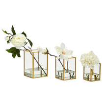 Load image into Gallery viewer, Tozai Set of 3 Rectangular Windows Vases
