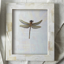 Load image into Gallery viewer, Tozai Pearly White 8&quot;x10&quot; Photo Frame in Gift Box

